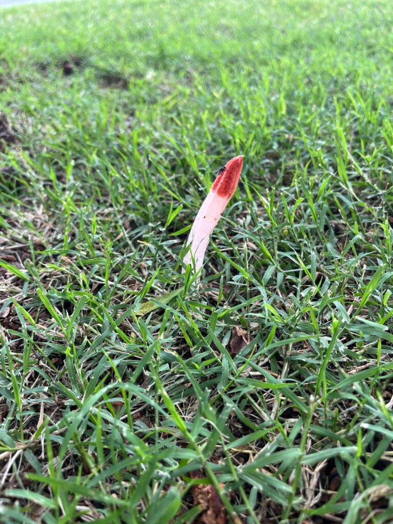 What is this? Kinda interesting.