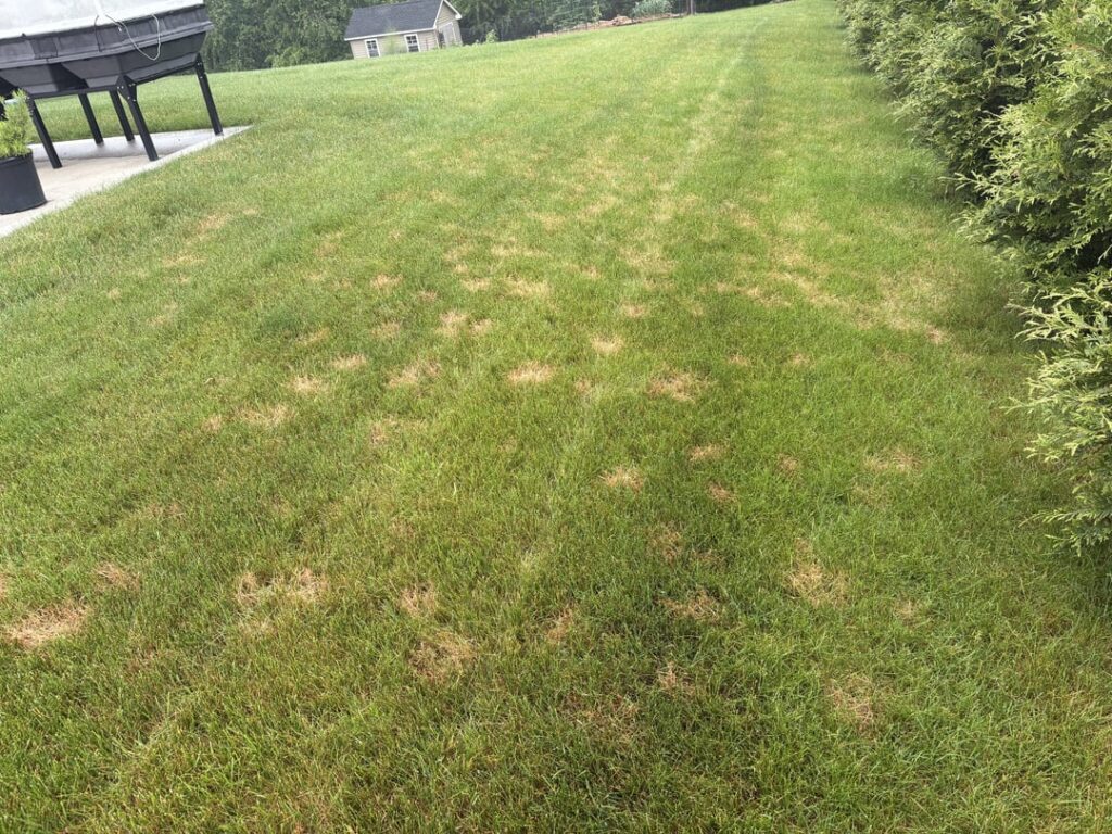 Dead spots in Pittsburgh area