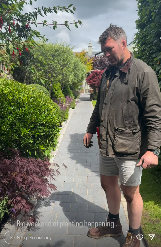 Man inspecting plants in a garden.