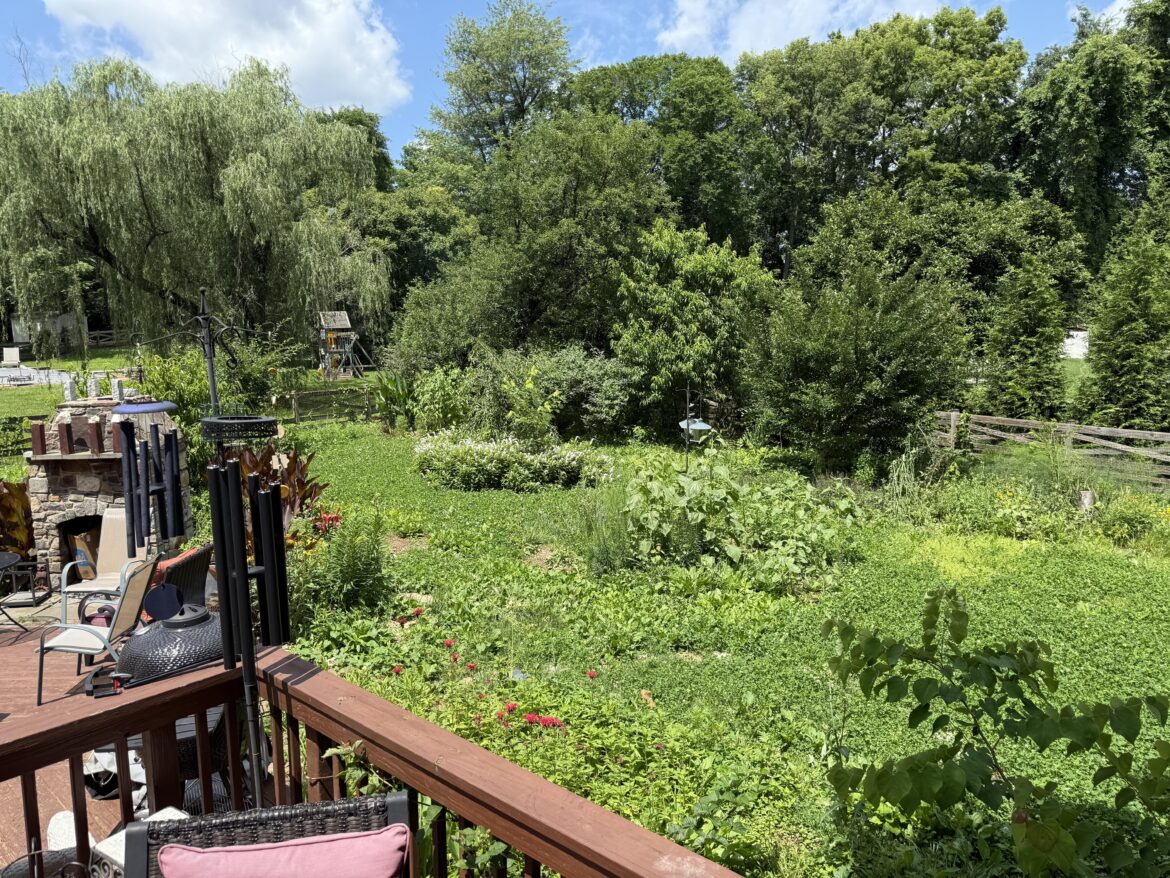 Friends backyard habitat