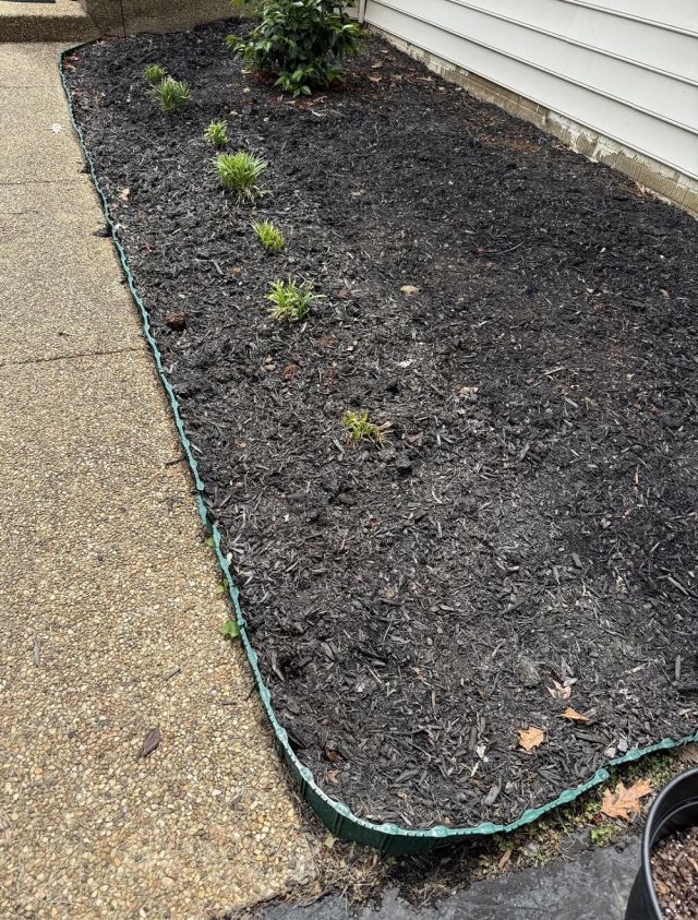 "You don't need to replace it with anything."