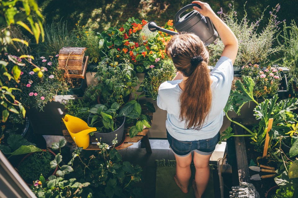 Woman watering plants on a balcony.