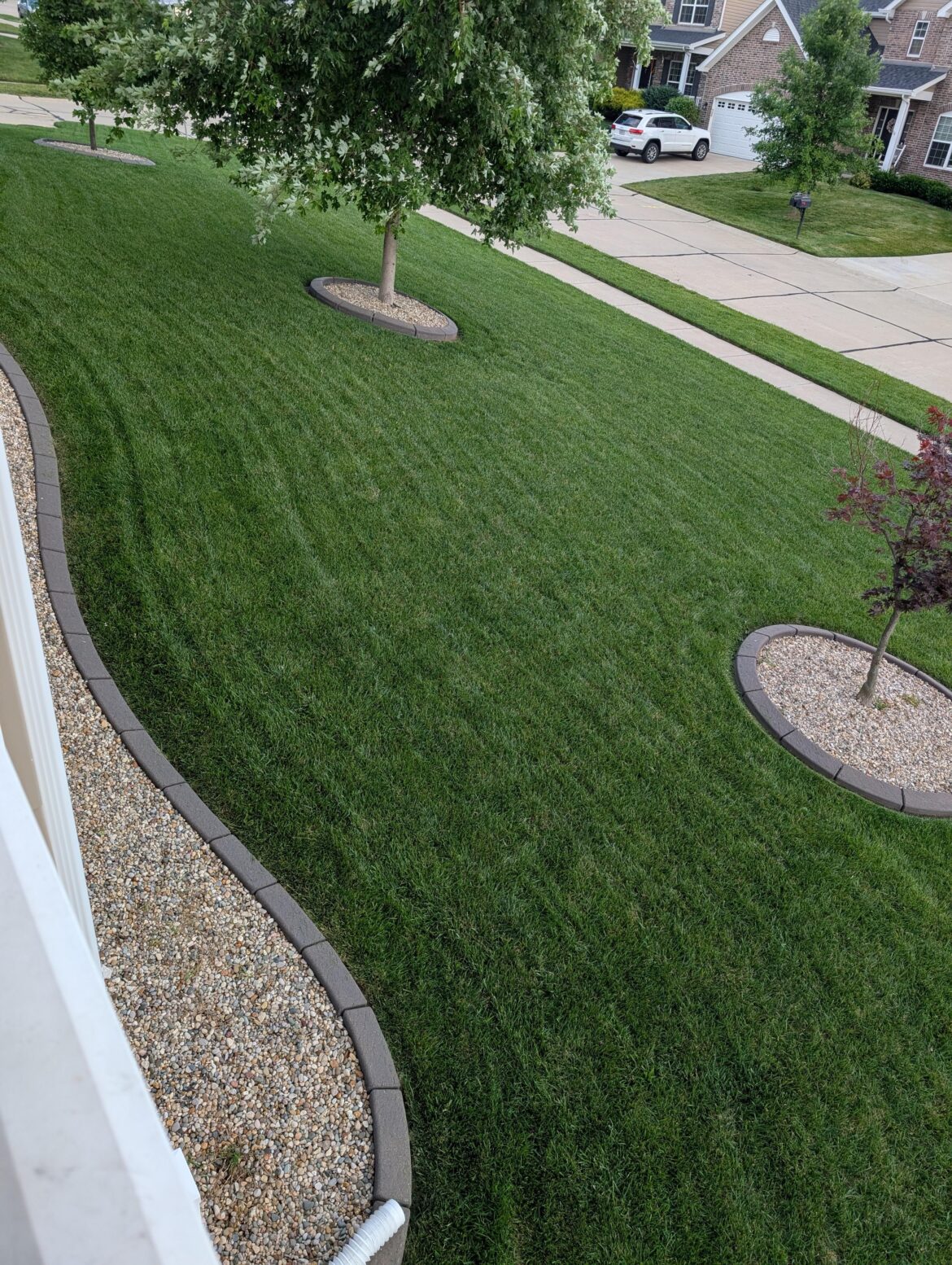 Used to hate having a corner lot...