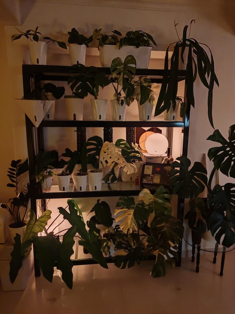 Nightmode. I love the use of bulbs with adjustable colour and temperature.