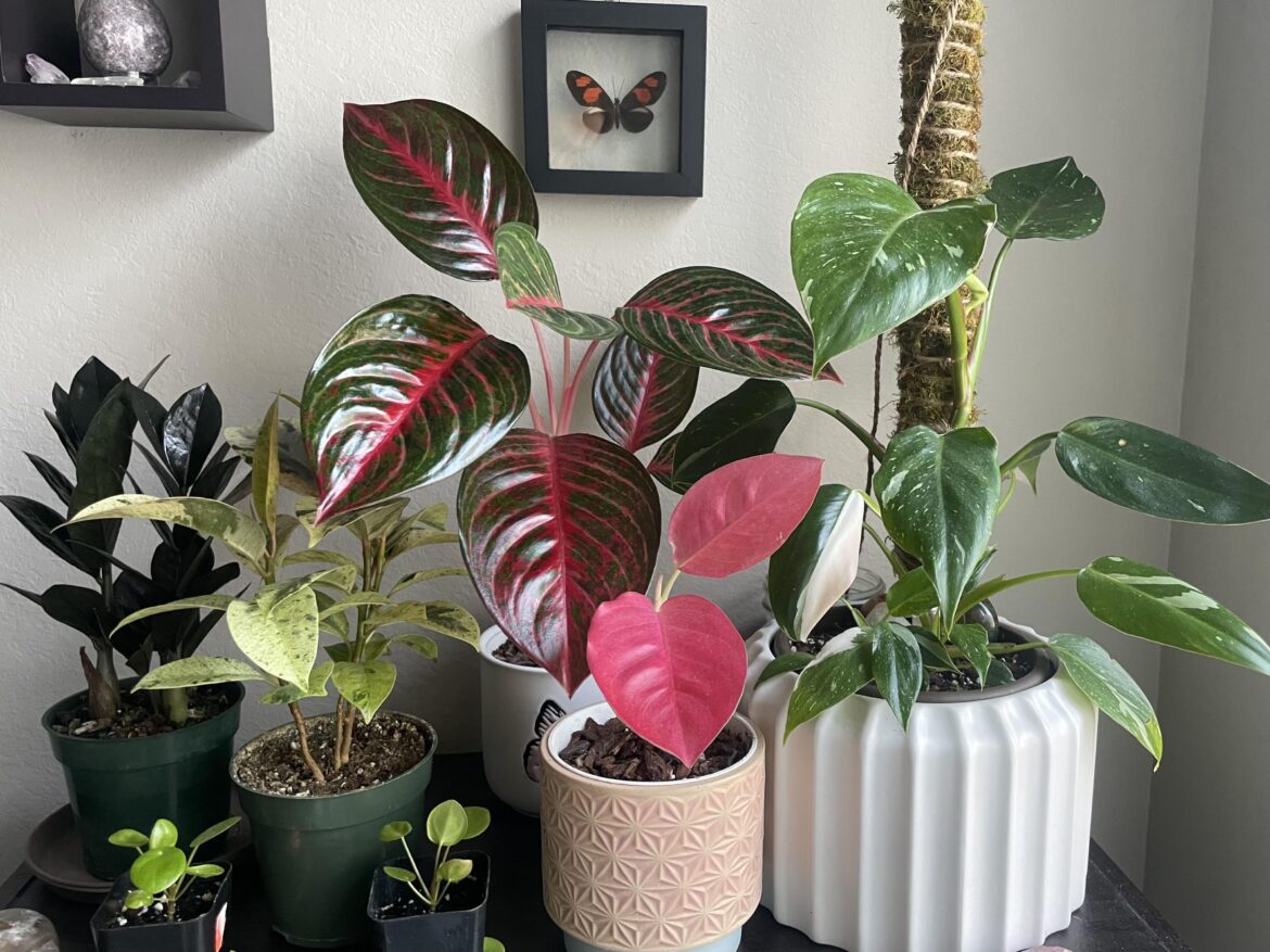 Show me your favorites!!