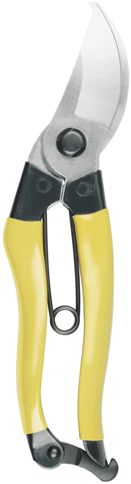 Niwaki Mainichi secateurs.