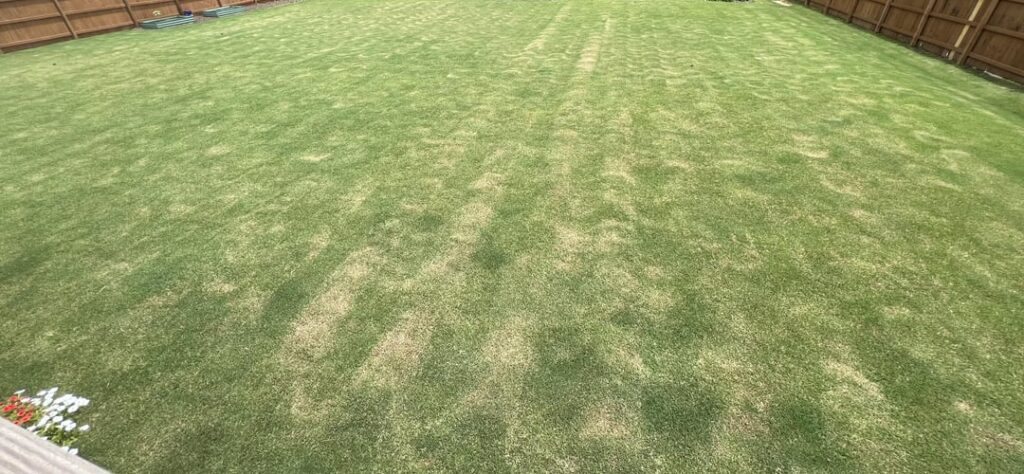 Any recommendations for preventing my mower from making these half circles? zone 8a Any recommendations for preventing my mower from making these half circles? zone 8a