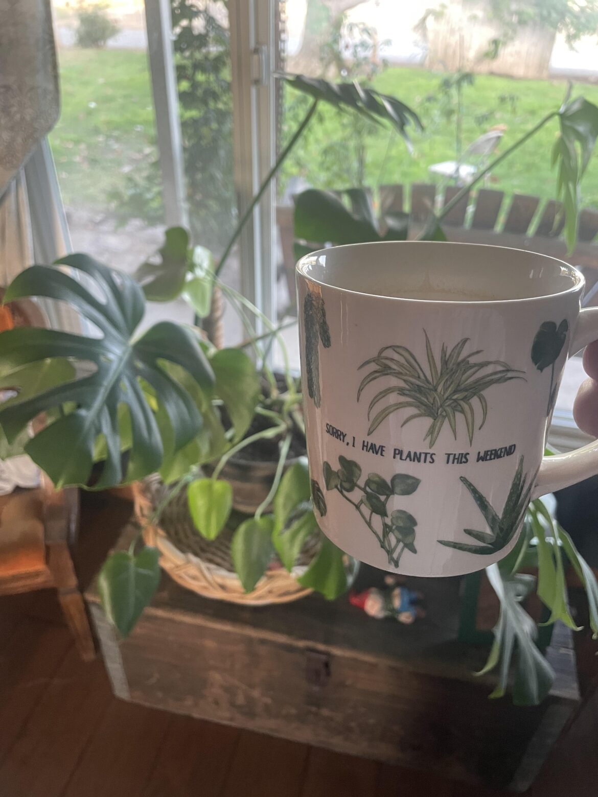 I was regifted this gem