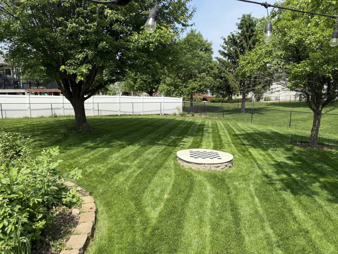 Doing my best with no in-ground irrigation (5a)