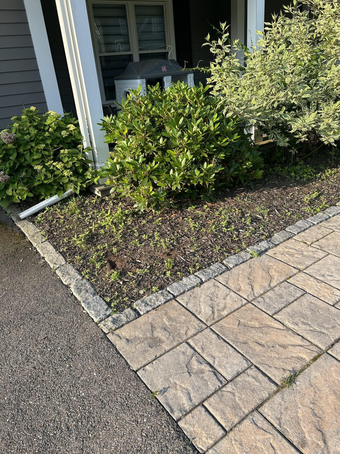 What do I do here with mulch always get weeds.