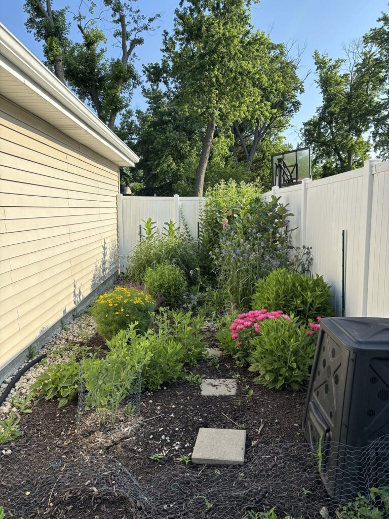 Pollinator Patch Update (3rd season)