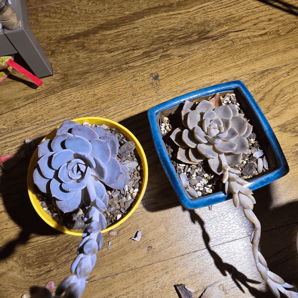 Didn’t get any answers on the main sub Didn't get any answers on the main sub