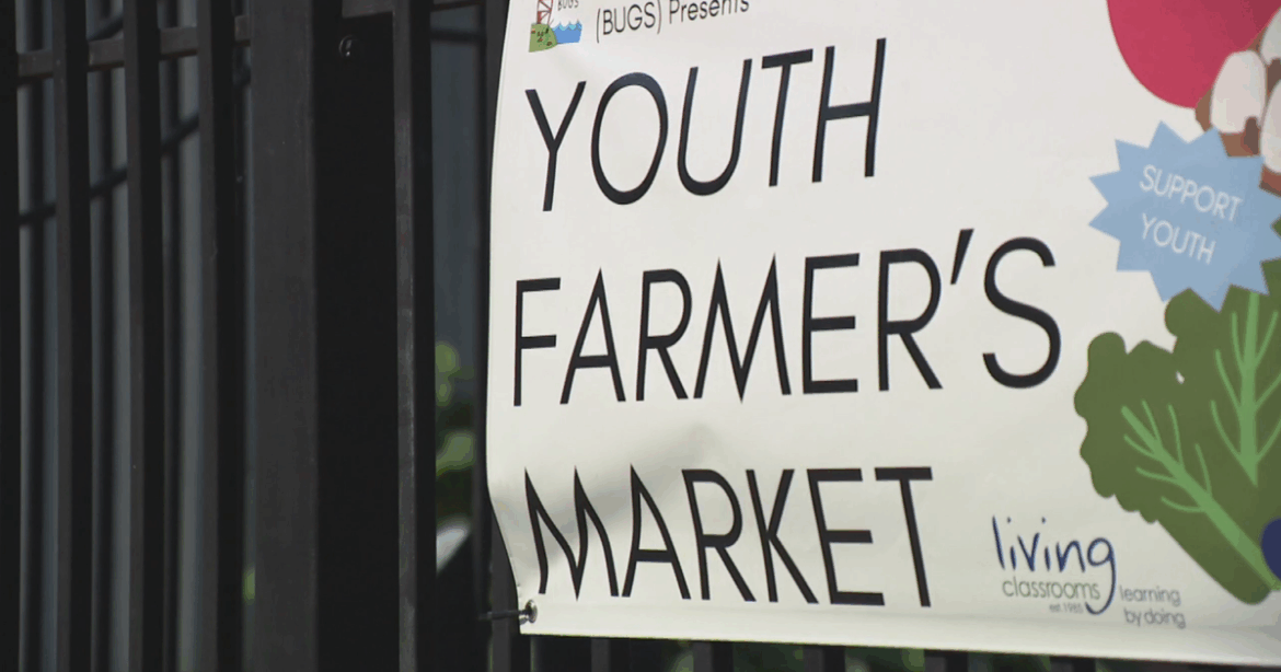 Youth gardening program hosts farmers market, gaining invaluable skills for adulthood Youth gardening program hosts farmers market, gaining invaluable skills for adulthood