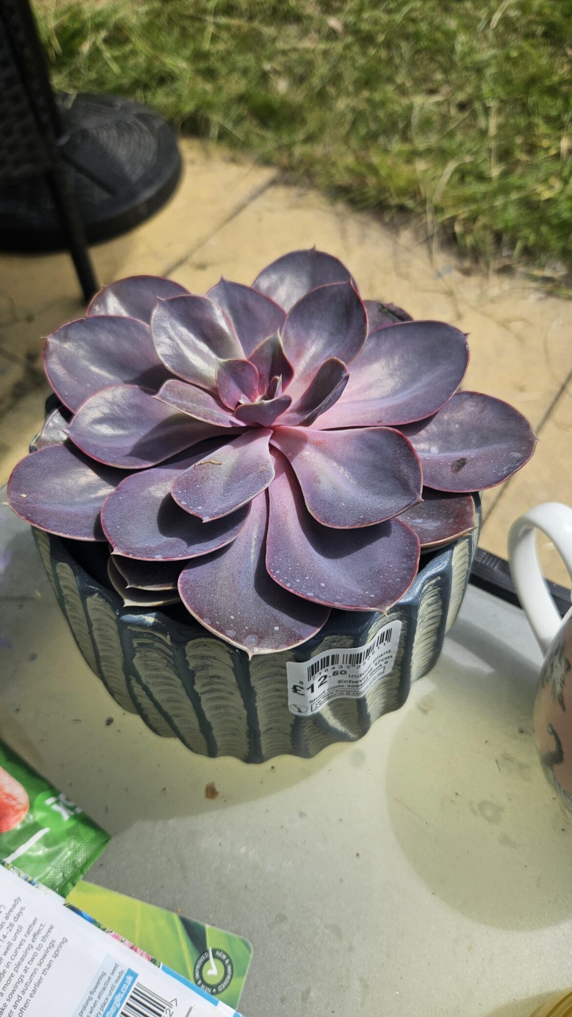 Id help please
