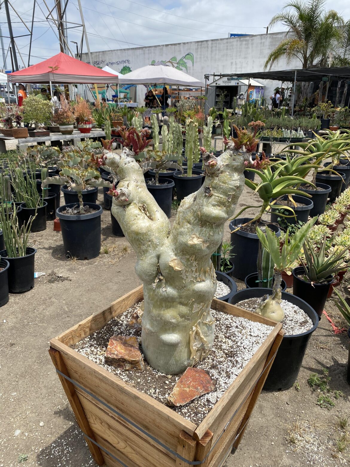 Should this be NSFW?