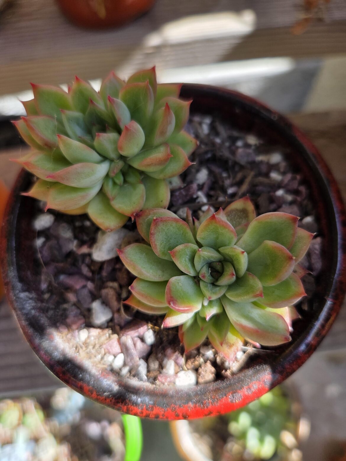 ID help