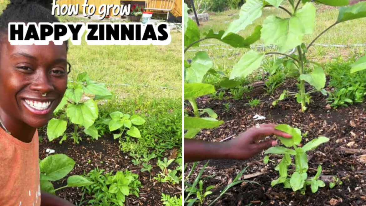 ‘It helps them grow stronger’ "I do the same thing."