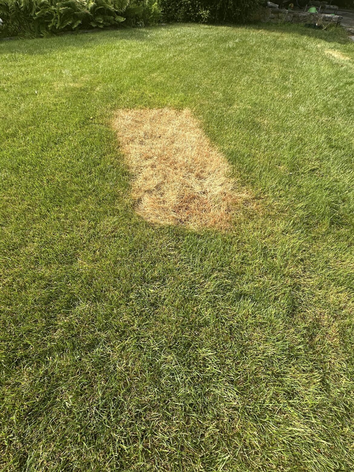 What’s going on here ?