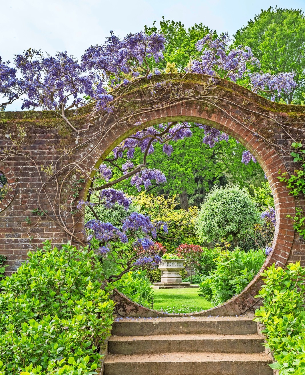 Steps leading to a moongate covered in wisteria.