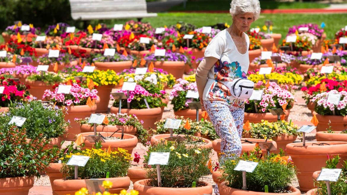 CSU Trial Gardens boast top annuals, perennials to plant in your yard