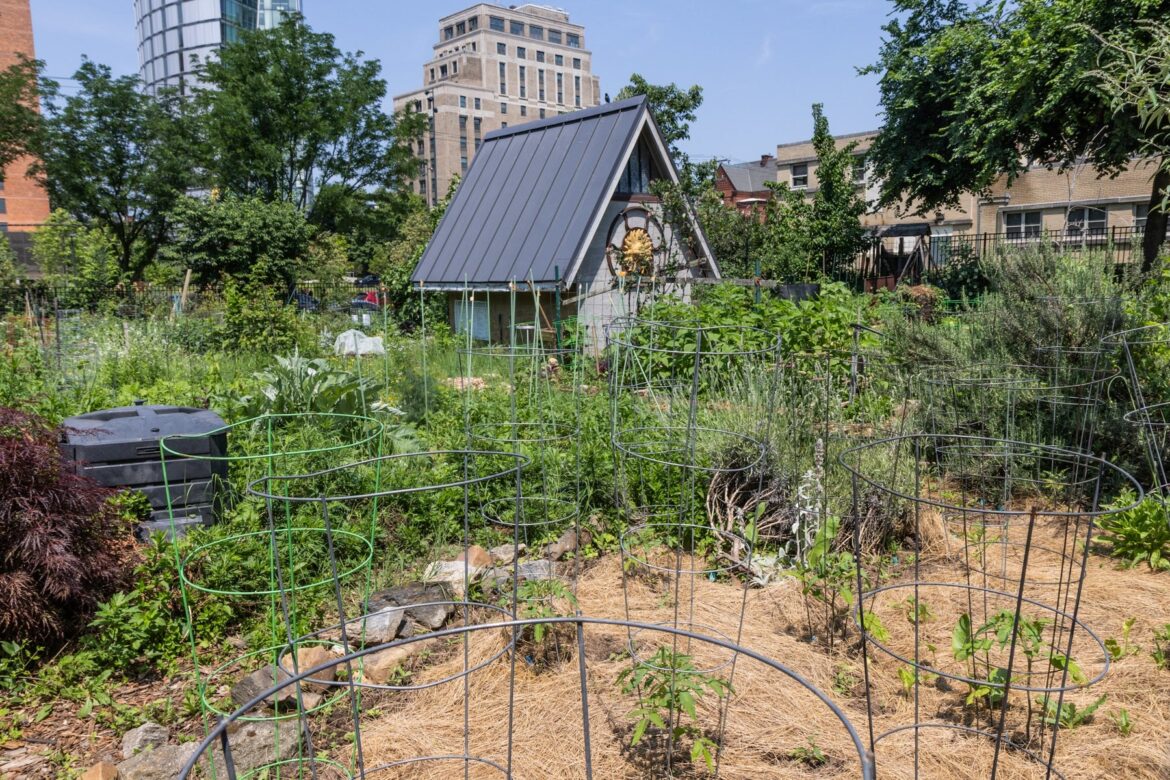 Philadelphia community garden preservation brings ‘sigh of relief’ Philadelphia community garden preservation brings ‘sigh of relief’