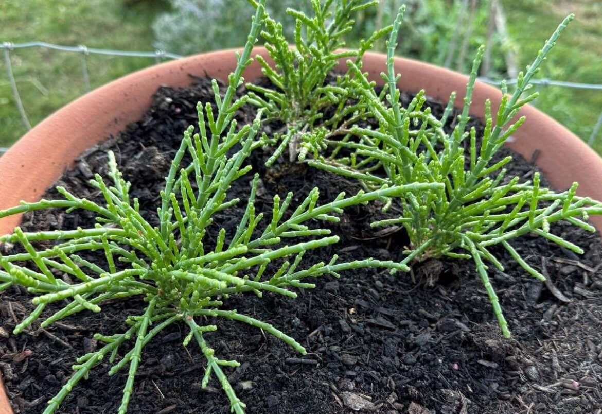 Bringing his past into the present