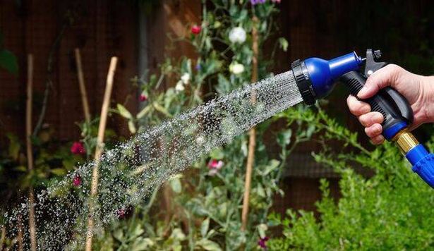 A hosepipe being used in summertime to water plants in a garden in the UK.