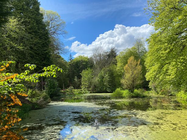 Arbigland Garden near Kirkbean.