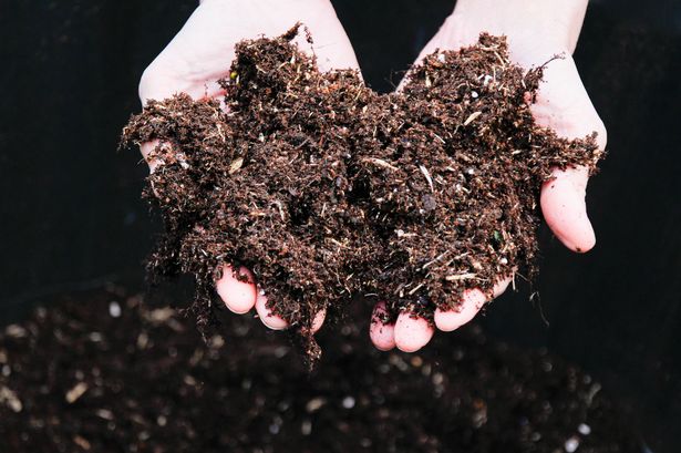 Hands full of dirt, soil, compost