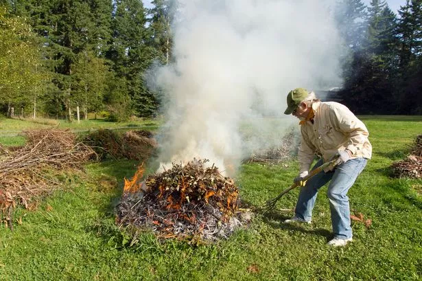 Man feeds an outdoor garden fire
