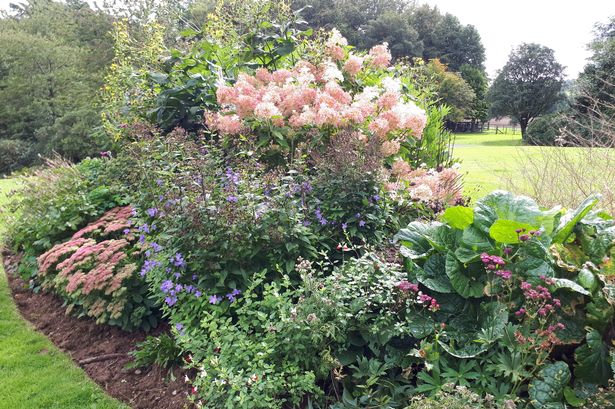 Kings Grange House is opening to the public under Scotland's Gardens Scheme