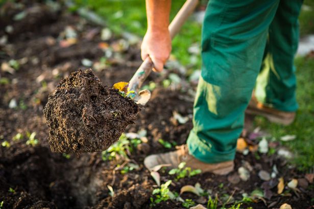 man digging up soil with spade