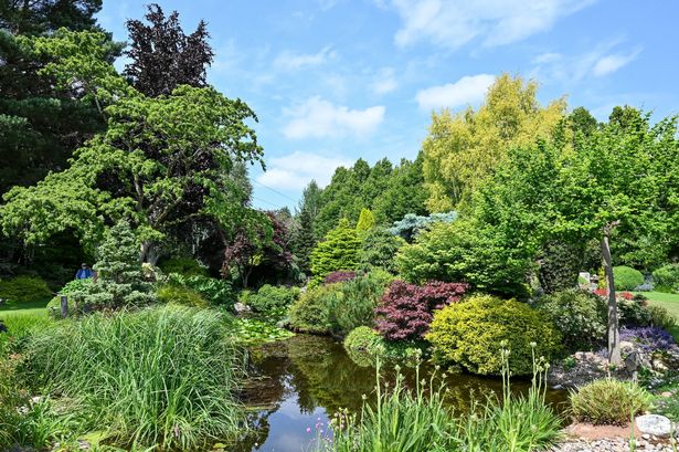 The garden features a pond