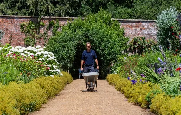 garden