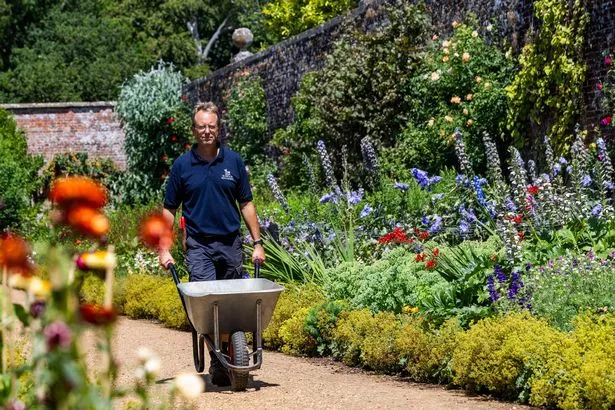 garden