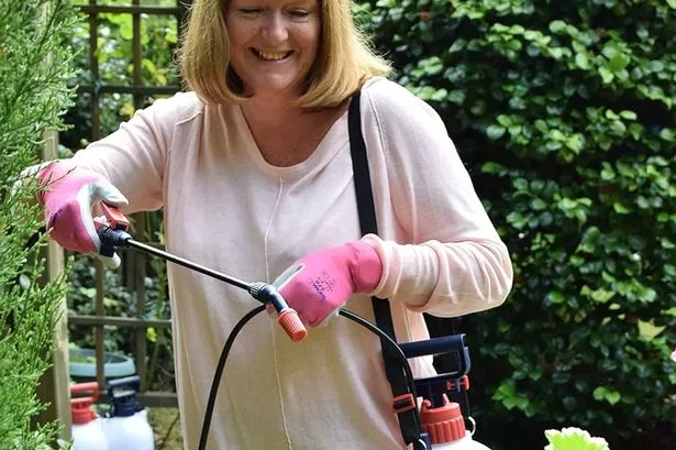 Photo shows woman using the sprayer