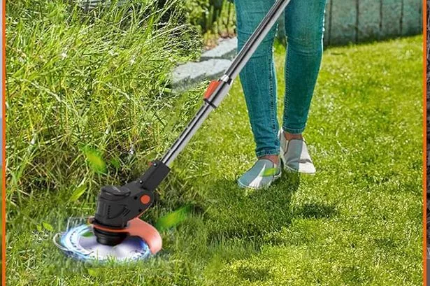 Gompuy Strimmer from Amazon 