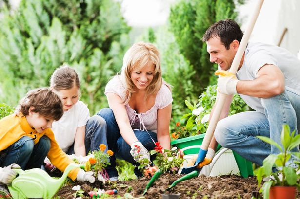 A family gardening