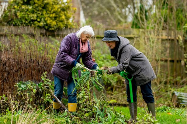 Two women gardening