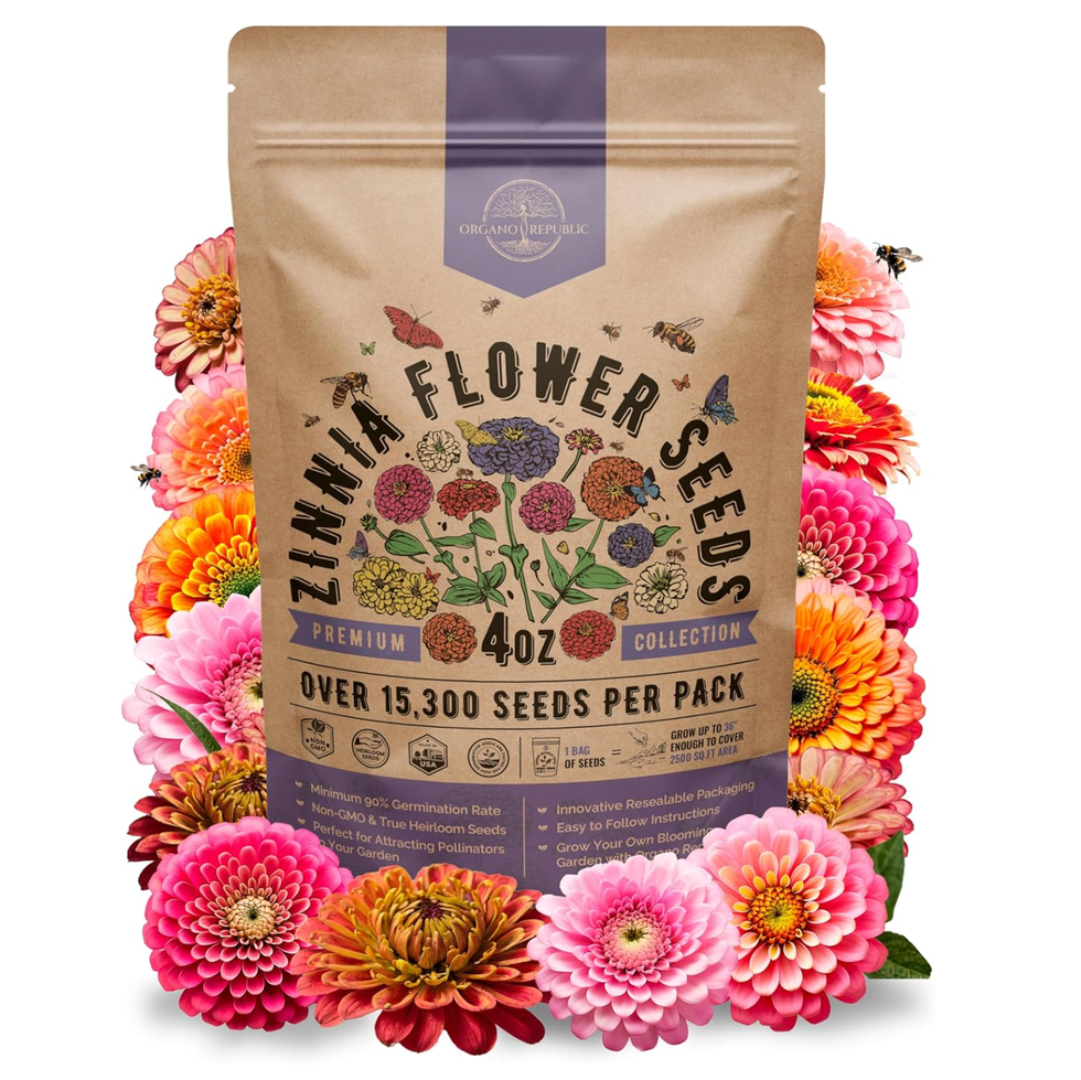 Heirloom Zinnia Seeds