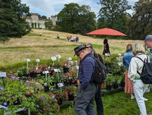 Cholmondeley Castle Plant Hunters' Fair