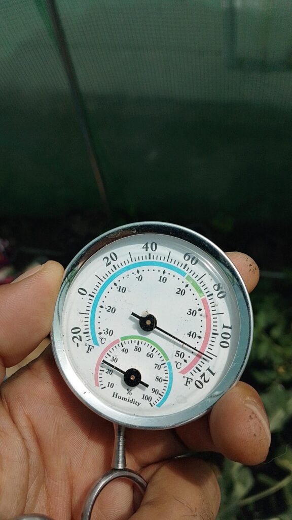 It's hot in the greenhouse today