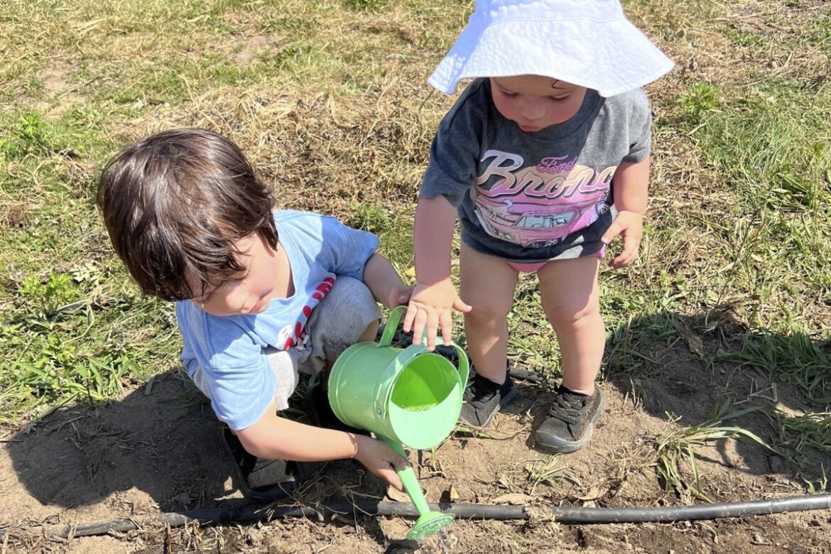 Let kids create their own garden, and other tips for instilling a love for growing things Let kids create their own garden, and other tips for instilling a love for growing things