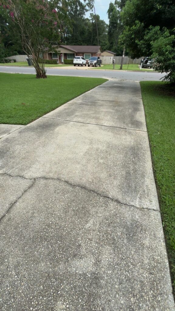 My neighbors think I’m weird taking pictures of my lawn