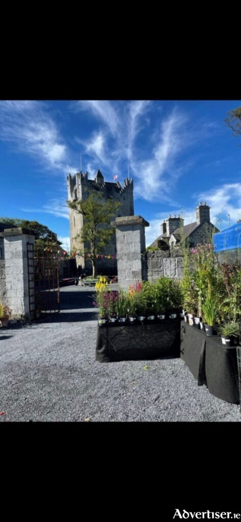 Summertime arrives with Galway Garden Festival at Claregalway Castle