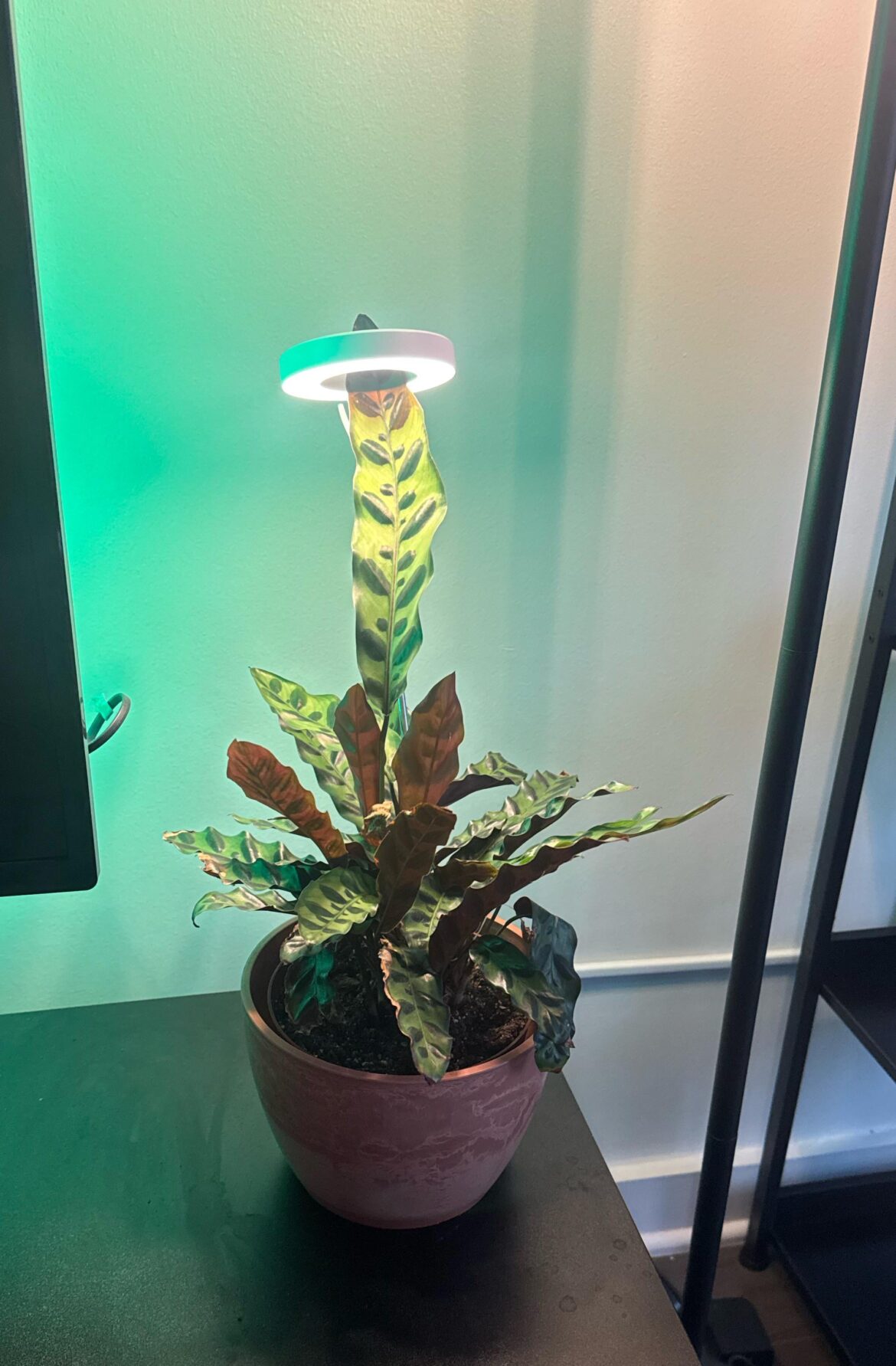 Look at this selfish bitch