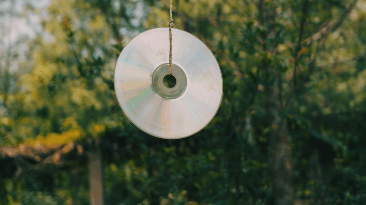 Why Are UK Gardeners Hanging CDs In Their Gardens This August? The Reason Will Shock You | Food Times Now