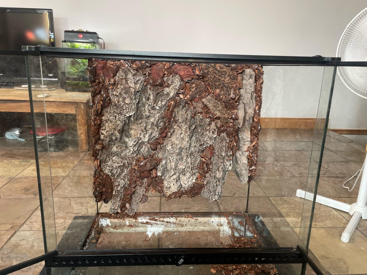 Just finished the background