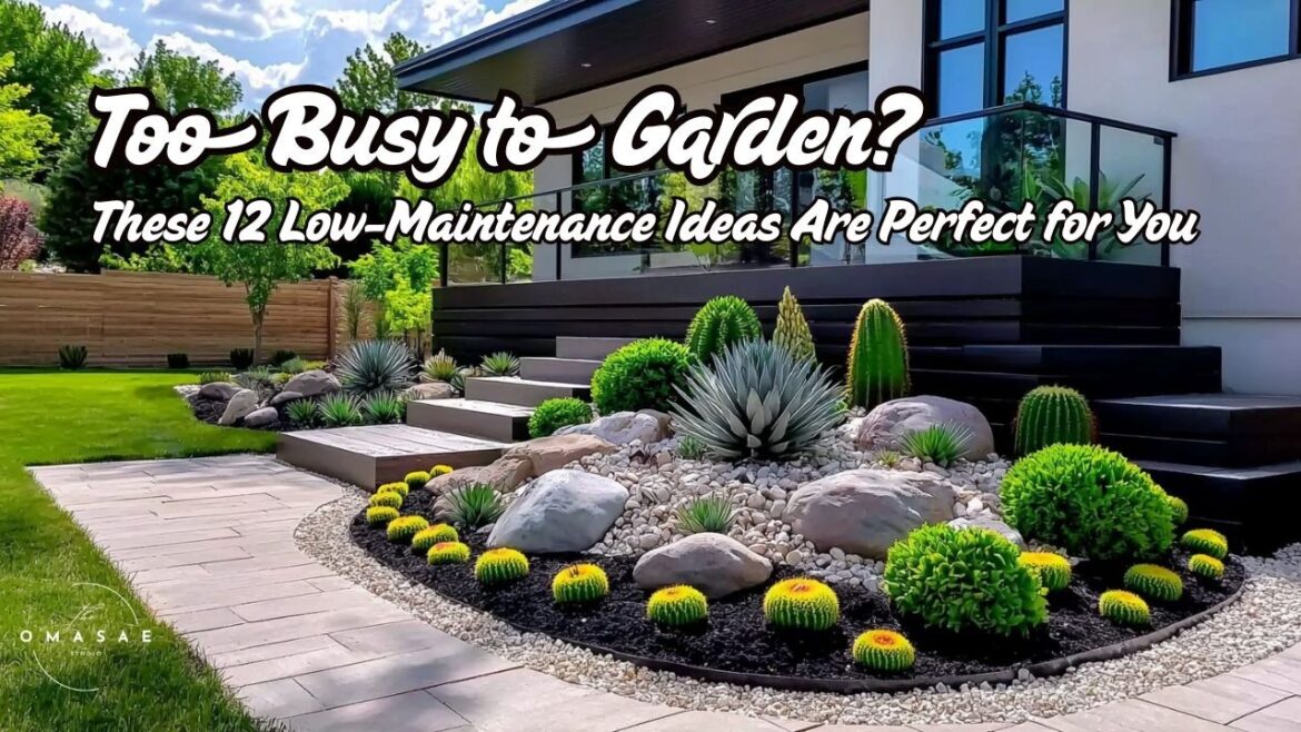 Low-Maintenance Small Garden Ideas 🌿 | Front Yard & Backyard Landscaping | Small Landscape Design