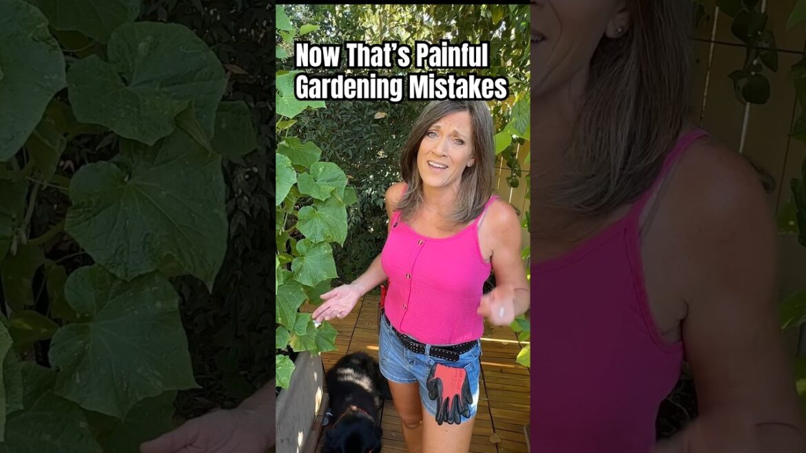 Don’t Wait So Long!!  Harvest It Already!  My Gardening Mistakes p2